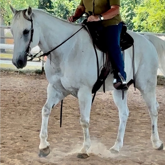 Meet your Posher, Val - Picture 4 of 12